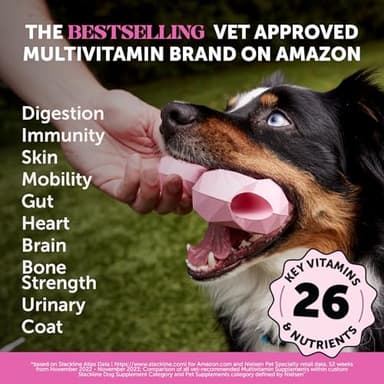 Multivitamin Dog Supplement, Glucosamine chondroitin for Dogs, Probiotics, Omega Fish Oil, Dog Supplements & Vitamins, Vitamins for Skin and Coat Allergies, (Peanut Butter 90 ct) - Image 2