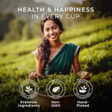 Gya Tea Co Black Tea (16 ct) - Assorted Tea Pod Variety Pack with Assam, Black, Ceylon & Earl Grey 4 Flavors for Refresh & Energy - Image 4