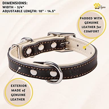 ADITYNA Heavy-Duty Black Leather Dog Collar for Small Dogs - Soft Padded for Comfort - Small Dog Collar for Walking, Training, and Hiking - Image 5