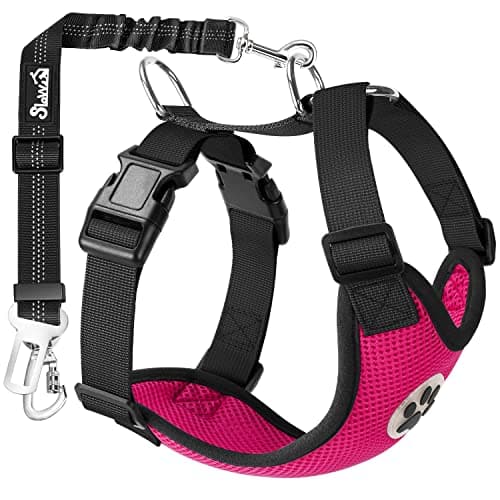 SlowTon Dog Seat Belt Harness for Car, Dog Car Harness Adjustable Mesh Breathable & Dog Seatbelt Safety Tether with Elastic Bungee for Small Medium Large Pets(Fuchsia, Double Clip, M) - Image 1
