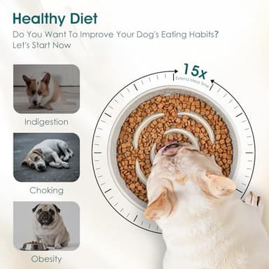 vancasso Slow Feeder Dog Bowl, 0.6 Cups Ceramic Dog Food Dish for Fast Eaters Small Breed, Puzzle Bowl for Small Dogs and Cats, Light Gray - Image 3
