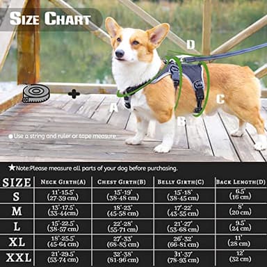 Paworld No Escape Dog Harness, Escape Proof Harness, Fully Reflective Harness with Padded Handle, Breathable,Durable, Adjustable Vest for Medium Dogs Walking, Training, and Running Gear (Black, M) - Image 6