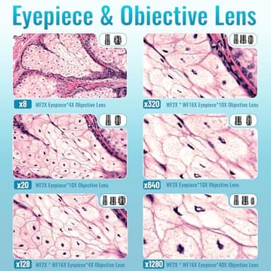 Microscope for Kids Starter Adults 64X-1280X Metal Monocular Microscope for Students School Home Education LED Lights Phone Holder Microscope Kit - Image 2