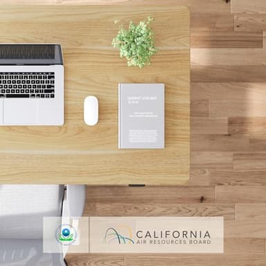 FLEXISPOT EN1 Whole-Piece Standing Desk, 48 x 24 Inches Height Adjustable Desk Stand up Desk Home Office Table for Computer Laptop (White Frame + Maple Desktop) - Image 8