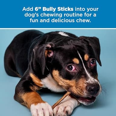 Best Bully Sticks 6 Inch Bully Sticks - 25 Count (Pack of 1) - All-Natural, Easily Digestible, 100% Grass-Fed, Grain and Rawhide Free - Image 6