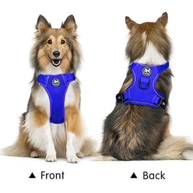 PoyPet Reflective Soft Breathable Mesh Dog Harness Choke-Free Double Padded Vest with Adjustable Neck and Chest(Royal Blue,XS) - Image 2