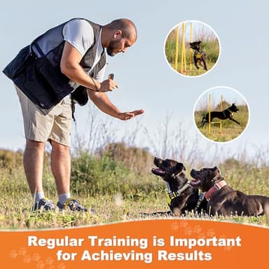 Dog Bark Deterrent Devices, Rechargeable Ultrasonic Anti Barking Device - Image 8