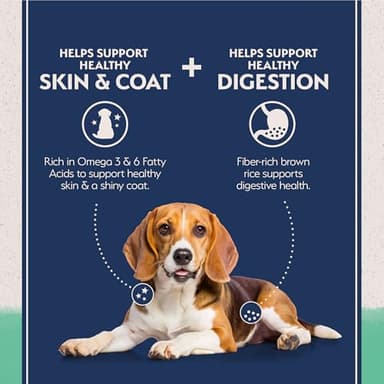 Natural Balance Limited Ingredient Adult Grain-Free Dry Dog Food, Chicken & Sweet Potato Recipe, 4 Pound (Pack of 1) - Image 5