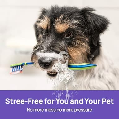 HICC PET Dog Dental Care Spray, Breath Freshener & Teeth Cleaning Spray, Dog Gingivitis Treatment, Prevent Bad Breath & Infections, Relieve Gum Redness, Reduce Plaque & Tartar, No Brushing, 5.1 Fl Oz - Image 6