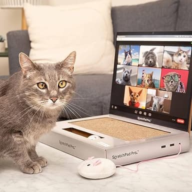 ScratchPad Pro — Cardboard Laptop Cat Scratcher, Interactive Cat Toys for Indoor Cats, Kitten Supplies and Cat Stuff by Relatable - Image 5