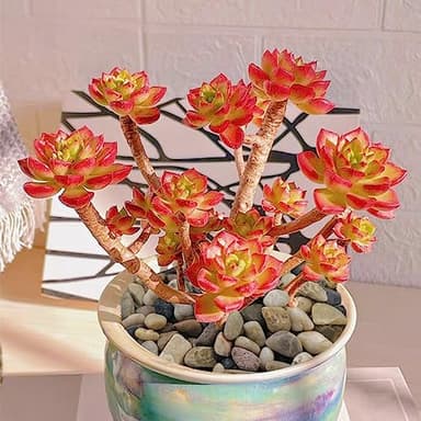 SHIZWU 10LB Aquarium Gravel, 1/4" Pea Gravel for Fish Tank, Small River Rocks for Garden Decoration, Landscaping, Vase Filling, Flower Pot Paving(4-8MM) - Image 7