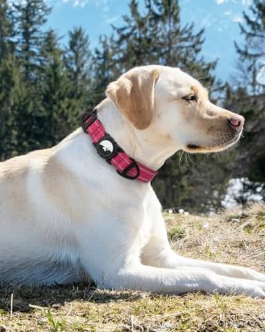Joytale Airtag Dog Collar, Reflective Pet Collar with Waterproof AirTag Holder, Dual D-Rings, Soft Padded Adjustable for Extra Small and Puppy Dogs, Hotpink, XS - Image 8