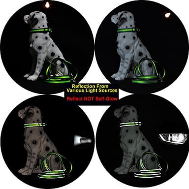 Mile High Life Reflective Dog Collar & Leash - Adjustable (Red, Large Pack of 2) - Image 4