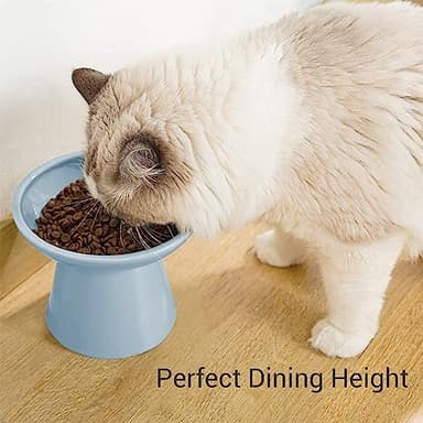 CEEFU Extra Wide Elevated Ceramic Cat Food Bowl - 6.2" Shallow Dish for Whisker Fatigue Relief, 5" Height for Easy Feeding, Lead & Cadmium Free, Durable Raised Cat Food Bowls, Blue - Image 3