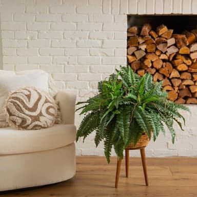Nearly Natural 40IN Artificial Boston Fern Large Hanging Plant, Set of 2 Artificial Ferns that Look Real for Home Décor - Image 4
