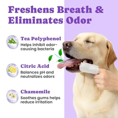 No-Rinse Dog Dental Care Wipes, Cat & Dog tooth brushing kit, Dog Wipes for Pet & Cat Teeth Cleaning, Dog toothbrush Finger Dental Wipes to Remove Plaque & Tartar, Disposable Dog Wipes - 50 Count - Image 5