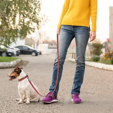 Mile High Life Reflective Dog Collar & Leash - Adjustable (Red, Large Pack of 2) - Image 5