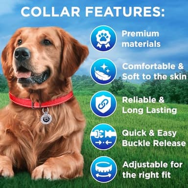 TECEUM Reflective Dog Collar – Red – L – Basic Nylon Pet Collar – Quick Release Buckle – Fits Small, Medium and Large Dogs, Puppies, Cats – ESA & Service Dog Options - Image 3
