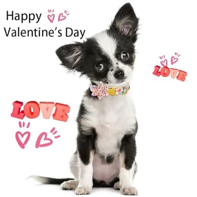 ARING PET Valentine's Day Cute Heart Dog Collar with Flower, Nice & Soft Cotton Girl Dog Collar with Metal Buckle - Image 5