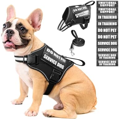 MOOGROU Service Dog Vest Harness and Leash Set+10 Patches,No Pull&Easy Walk Reflective Dog Harness with Soft Padded Handle for Training/Everyday,Fit Small/Medium/Large/Extra-Large Dogs(Black M) - Image 1