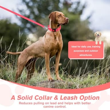 VTOPVMAX Martingale Collar for Dogs, Reflective Nylon Dog Collar with One 70.86 in Long Dog Leash, Quick Release Buckle, Adjustable Nylon Collars for Dogs Walking Training (Rose M) - Image 6