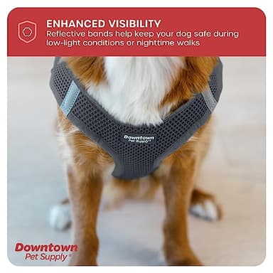 Downtown Pet Supply Step-in Dog Harness – No Pull, Adjustable Padded Mesh with Reflective Trim, Secure Buckle Strap – Comfortable & Breathable Small Dog Harness, Small, Charcoal - Image 7