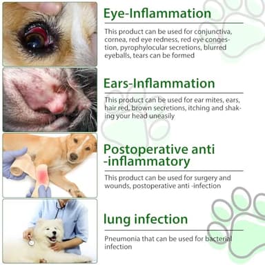 Dog Antibiotics, Natural Antibiotics for Dogs, Dog Multivitamin Herbal Supplements 60ml - Image 8