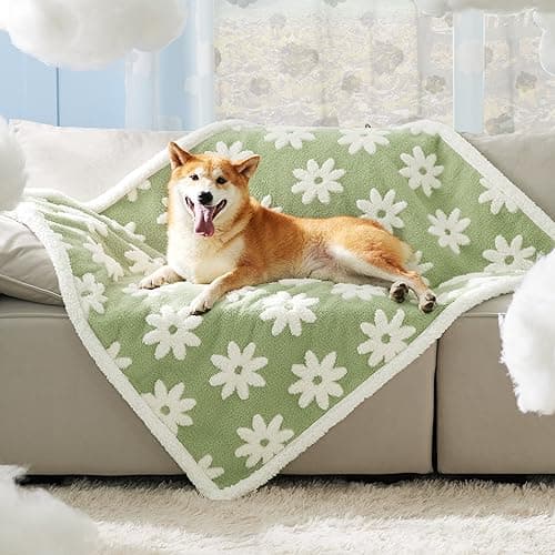 LE SURE Waterproof Dog Blanket for Large Dogs - Washable Double Sided Dog Blankets with Warm Jacquard Shag and Soft Sherpa Fleece, Pet Cat Blanket for Couch Protection, 3D Textured Cloud, Green - Image 1