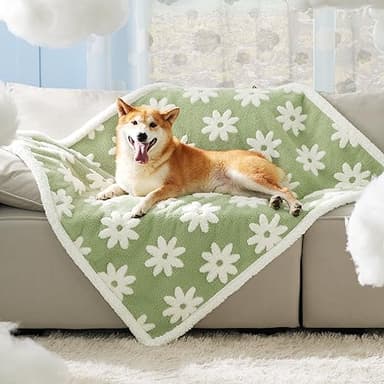 LE SURE Waterproof Dog Blanket for Large Dogs - Washable Double Sided Dog Blankets with Warm Jacquard Shag and Soft Sherpa Fleece, Pet Cat Blanket for Couch Protection, 3D Textured Cloud, Green - Image 1
