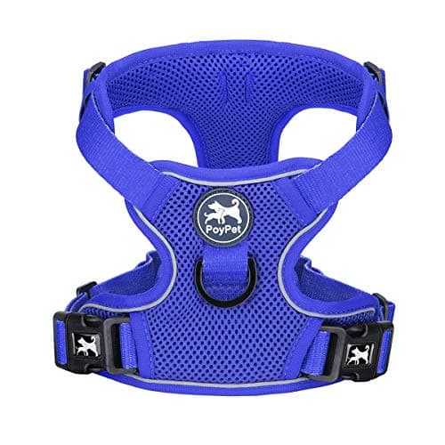 PoyPet Reflective Soft Breathable Mesh Dog Harness Choke-Free Double Padded Vest with Adjustable Neck and Chest(Royal Blue,XS) - Image 1