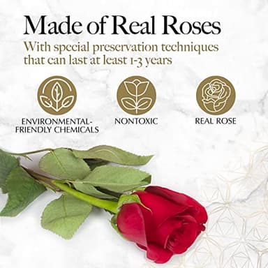 GLAMOUR BOUTIQUE 27 Flower Forever Heart Shape Box - Preserved Roses Gift for Her, Preserved Flowers, Red - Image 4