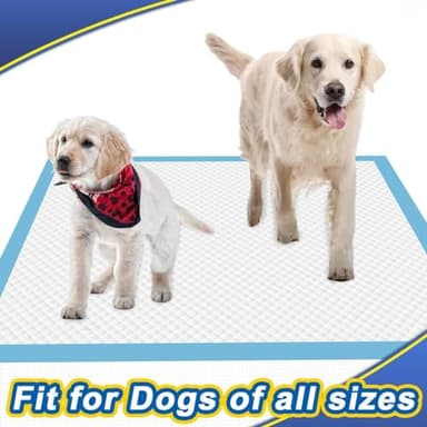 Dogcator Dog Pee Pads Extra Large 30"x36", 30 Count Super Absorbent Pee Pads for Dogs, Disposable Urine Bed Pads for Doggie, Thicken XXL Puppy Pads, Piddle Pads X-Large for Indoor, Outdoor Use - Image 9