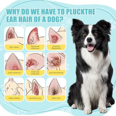 OMYGYM Ear Powder for Dogs and Cats - 50g/1.8 oz – Dog Ear Infection Treatment with Dog Ear Hair Removal Tool – Ear Powder for Dogs Plucking & Hair Removal – Clears Wax, Odor - Image 3