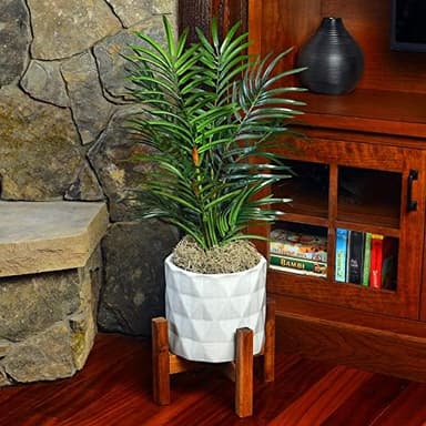 Mosser Lee ML0560 Spanish Moss, 250 Cubic Inches - Image 6