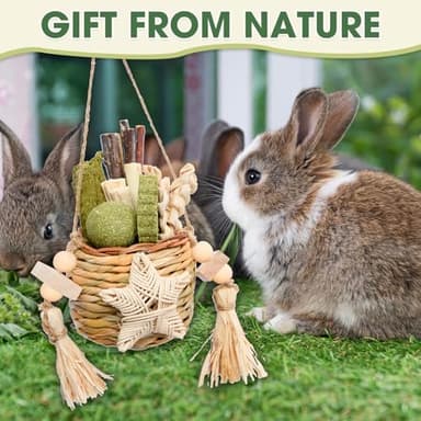 Jorewood Rabbit Chew Toys, Natural Reed Grass Hanging Basket Chews, Woven Bunny Chewing Timothy Cake Wood Treats for Small Pets - Image 3