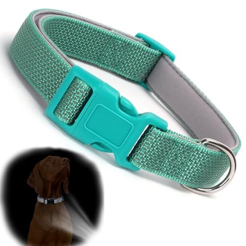 Teal Reflective Dog Collars for Medium Dogs, Highly Reflect Safety Neoprene Padded Basic Durable Soft Nylon Boy Dog Collar Adjustable for Xs Small Medium Large Male Pet Dogs, Turquoise M - Image 1