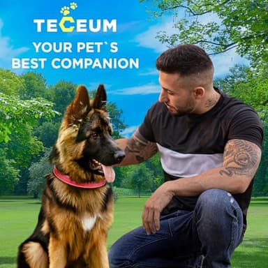 TECEUM Reflective Dog Collar – Red – L – Basic Nylon Pet Collar – Quick Release Buckle – Fits Small, Medium and Large Dogs, Puppies, Cats – ESA & Service Dog Options - Image 9