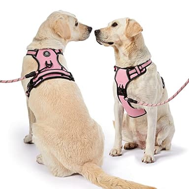 NESTROAD No Pull Dog Harness,Adjustable Oxford Medium Dog Harness with Leash,Reflective No-Choke Pet Vest Harness with Easy Control Soft Handle for Small Medium Large Dogs(M,Pink) - Image 7