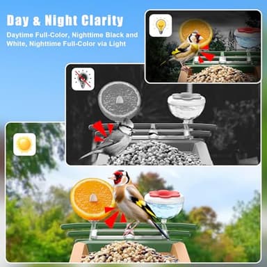 Smart Bird Feeder with Camera with AI Identify Birds Species & Solar Panel, WiFi Birdfeeder with Cam, 2K Live View, Chew-Proof & Waterproof Design, Real-Time App Alerts, Gift for Bird Lovers, Green - Image 4