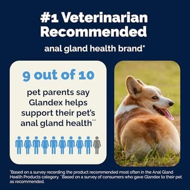Vetnique Glandex Anal Gland Soft Chew Treats with Pumpkin for Dogs Digestive Enzymes, Probiotics Fiber Supplement for Dogs Boot The Scoot (Peanut Butter Chews, 60 Count) - Image 8