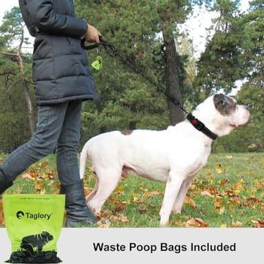 Taglory Rope Dog Leash 6 FT with Comfortable Padded Handle, Highly Reflective Threads Leash for Medium Large Dogs, 1/2 inch, Black - Image 2