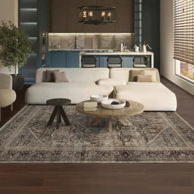 Domitapis Area Rug 5×7, Large Vintage Boho Rug,Ultra-Soft Low Pile, Washable, Non Slip,Stain Resistant, Printed Carpet for Living Room Bedrooms Playroom Office Kitchen,Oat/Antiquity - Image 6