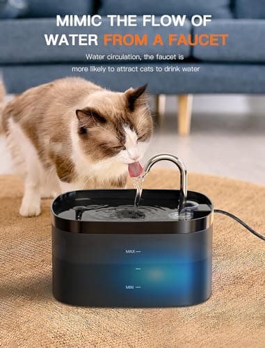 Cat Water Fountain, 84OZ/2.5L Cat Fountain, Super Silent Pet Water Fountain, Activated Carbon Filter, Translucent Pet Water Dispenser Suitable for Multiple Pets Family (Black) - Image 3