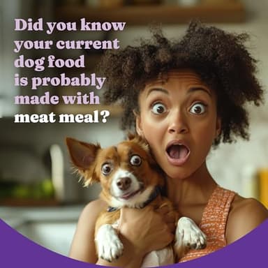 Halo Holistic Small Breed Dog Food, Cage Free Chicken & Brown Rice Recipe, Healthy Grains Dry Dog Food, Complete Digestive Health, 3.5 lb Bag - Image 3