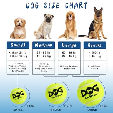INSUM Tennis Balls for Dogs - 12 Pack 2.5'' Durable Non-Toxic Outdoor Dog Toys Balls with Mesh Bag, SGS Certified, Colorful Fetch Toys, Medium Large Breeds (Non Squeaky) - Image 7