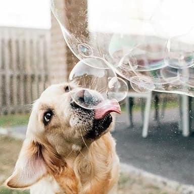 Puppy Love Bubbles, Peanut Butter Scented Bubbles 4oz. Bottle-2 Pack in Peanut Butter Flavor for Dogs - Image 7