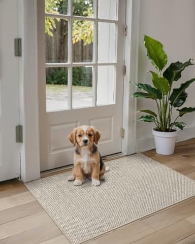 DEXI Door Mat Inside Entrance 24x36, Ultra Non Slip Rubber Backed Dirt Trapper, Low Profile Thin Welcome Doormat, Absorbent Easy Clean Entry Mats for Entryway, Patio, Beige - Image 2