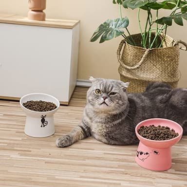 TAMAYKIM Tilted Ceramic Raised Cat Bowls, 8 OZ Food and Water Bowls Set for Kitty, 5 in Porcelain Elevated Stress Free Feeding Pet Dish, Dishwasher and Microwave Safe (White & Pink) - Image 2