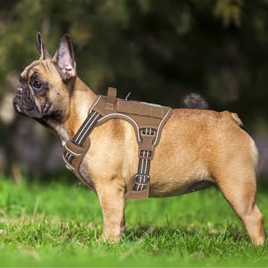 Beebiepet Heavy Duty Tactical Dog Harness for Medium Dogs, Brown, Molle System, Four-point Adjustment, Anti-lost ID Tag, Includes 5ft Leash - Image 2