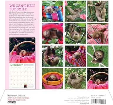Original Sloths Wall Calendar 2025: The Ultimate Experts at Slowing Down - Image 4